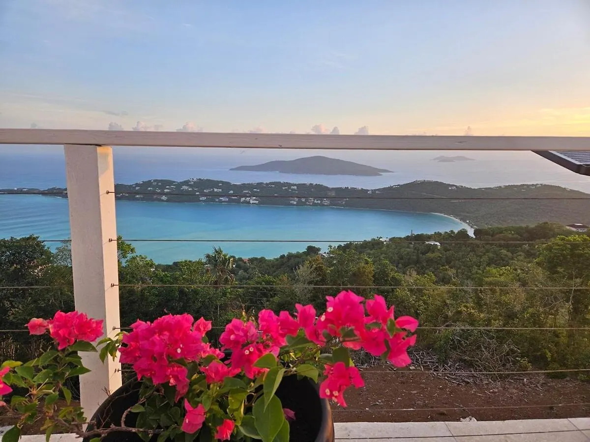 Villa Pamela Saint Thomas Island